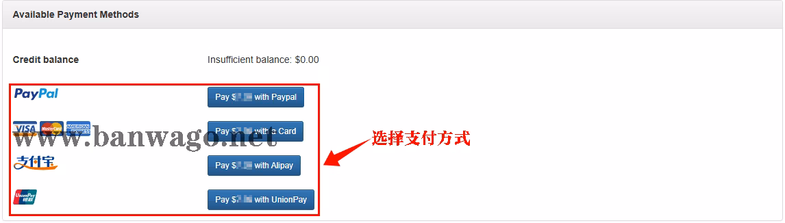 搬瓦工账单页面点击“Pay with Alipay”按钮