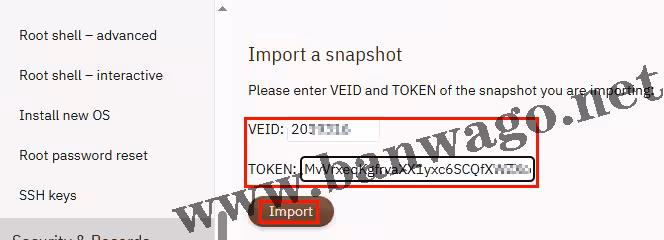 导入快照页面，需要填写VEID和TOKEN