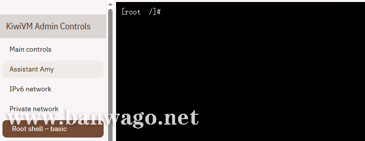 KiwiVM Root shell – basic (基础Shell) 界面