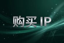 搬瓦工 IP 被封后怎么购买新的 IP 地址-搬瓦工