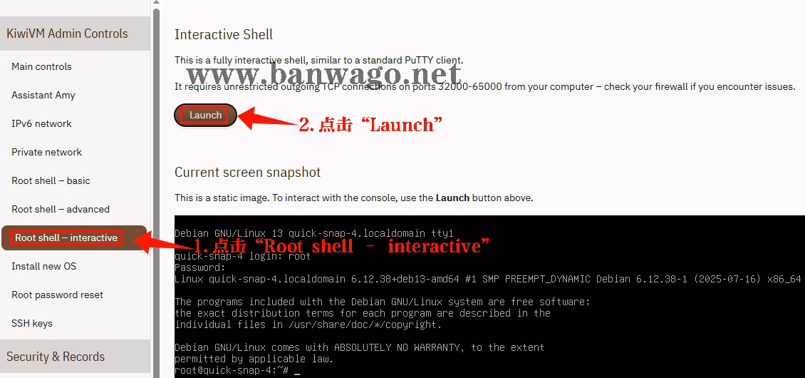 在KiwiVM后台Root shell-interactive界面点击Launch按钮