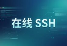 搬瓦工在线 SSH“Root shell – interactive”的功能与使用方法-搬瓦工