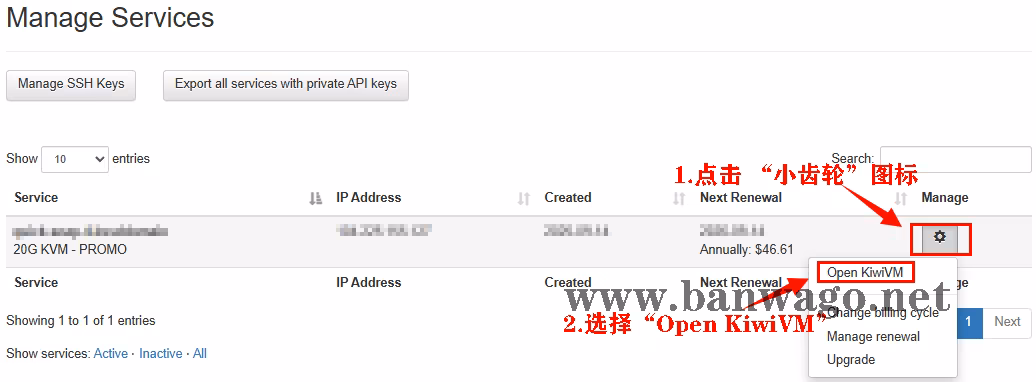 在我的服务列表中点击小齿轮图标，然后选择Open KiwiVM