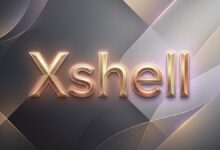 Xshell 警告
