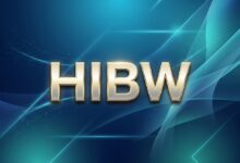 搬瓦工大流量套餐 CN2 GIA-E HIBW 配置、价格与选购建议-搬瓦工