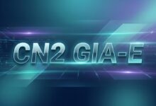 搬瓦工 CN2 GIA-E 是什么？套餐特点、可迁移机房与购买注意事项-搬瓦工