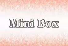 搬瓦工MiniBox限量版详解:揭秘全新DC99机房与纯三网CN2 GIA线路-搬瓦工