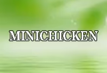 搬瓦工 MINICHICKEN 限量版套餐补货 $19/年  (1GB内存/1TB流量)-搬瓦工