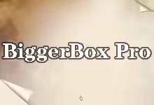 搬瓦工BiggerBox Pro限量版套餐介绍-搬瓦工