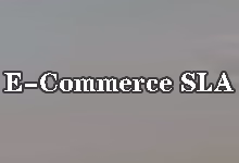 搬瓦工上线全新 E-Commerce+SLA 套餐：AMD 独享 CPU 搭配 99.99% 在线率保证-搬瓦工