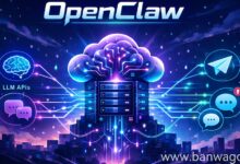 跑 OpenClaw 最低配置是多少?搬瓦工 VPS 选购与内存占用实测-搬瓦工