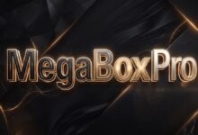 搬瓦工 MegaBox Pro 限量版套餐：DC1 机房三网回程与单线程测速-搬瓦工